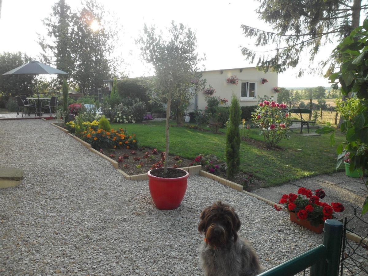 Apartamento O Bout D'La Motte Voillecomte Exterior foto